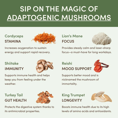 Mushroom Matcha (30 Servings)